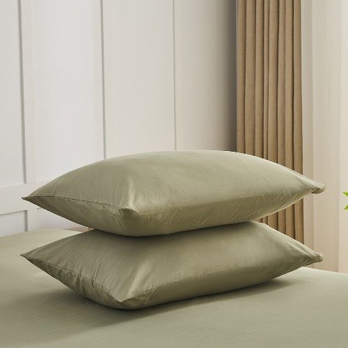 Aisiting Green Grounding Pillowcase